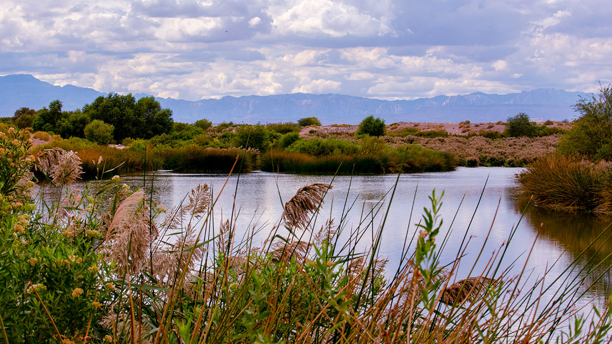 A beauty shot of the Las Vegas Wash with mountains in the background