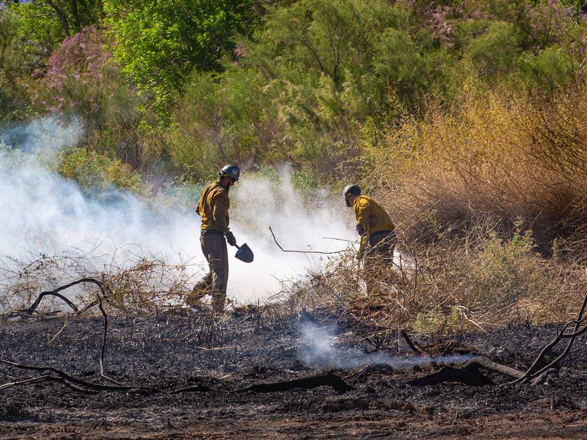 Firefighters work to contain a wildfire at the Las Vegas Wash