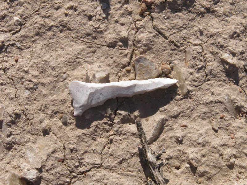 Arrowhead in dirt