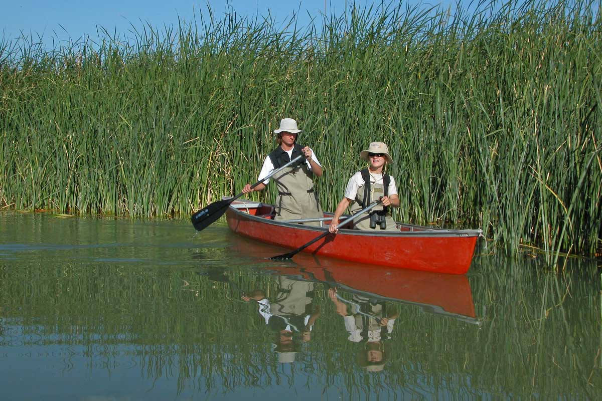 Surveying via canoe