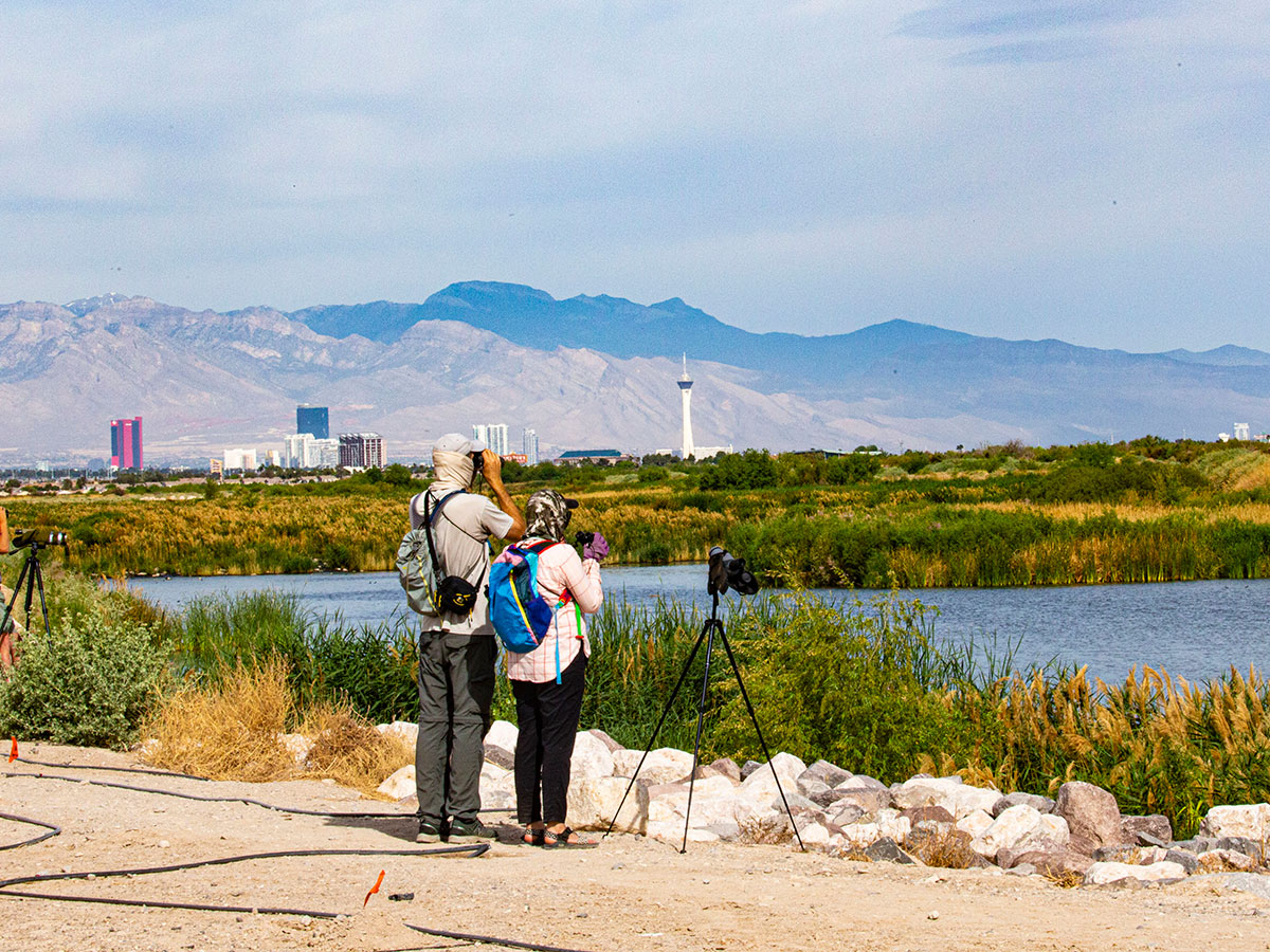 A couple of bird watchers at the Las Vegas Wash