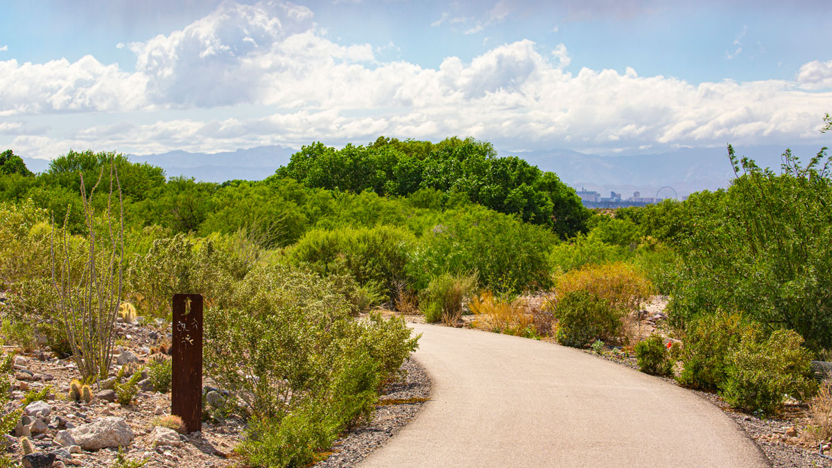 A walkway weaves through native plant life at the Las Vegas Wash