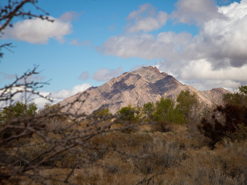 Frenchman mountain with wetlands in foreground