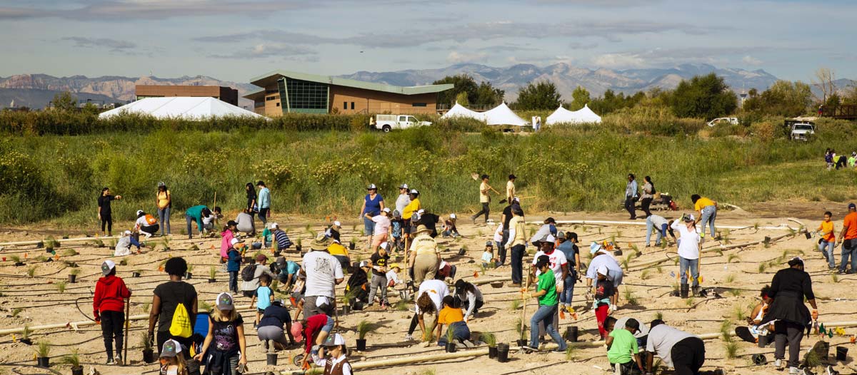 Volunteers at the Las Vegas Wash Green-Up