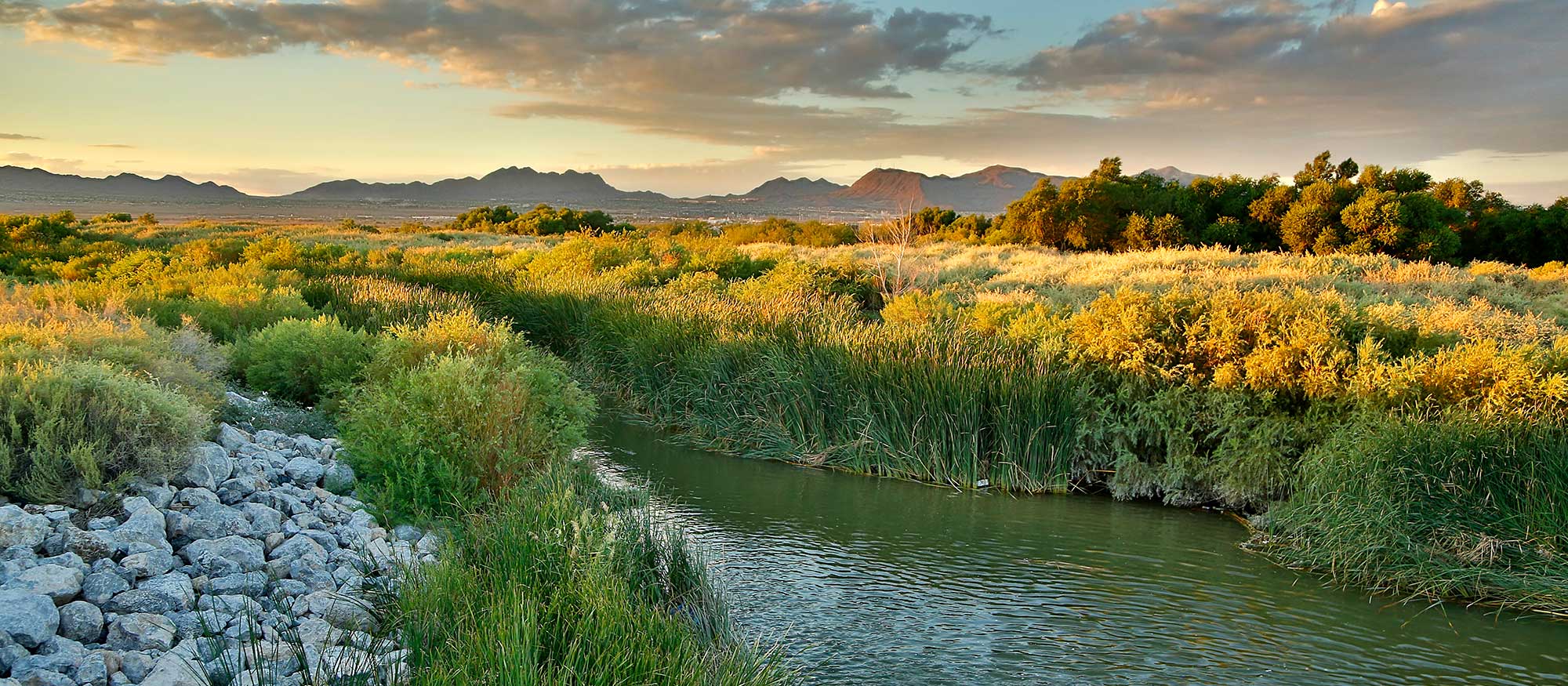 Beauty shot of water and surrounding vegetation at Las Vegas Wash