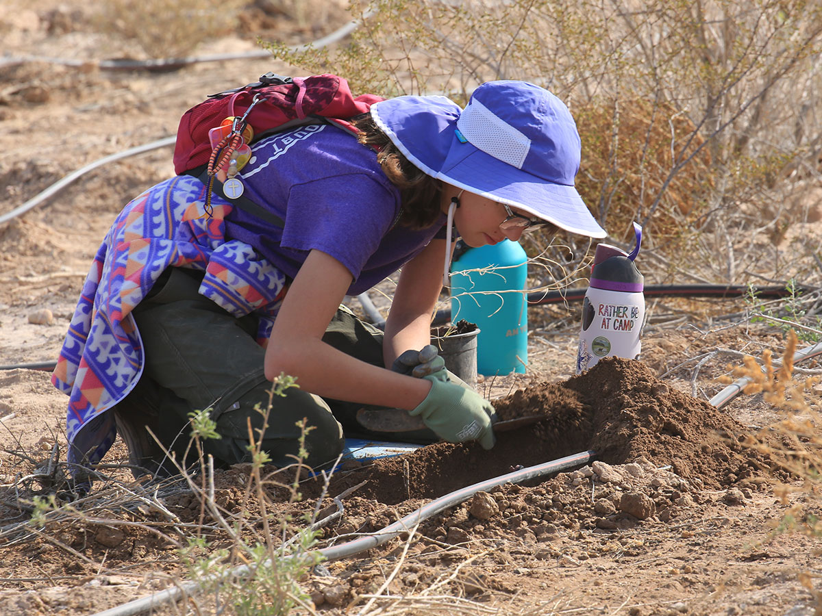 A young volunteer digs a whole for a new plant at the Las Vegas Wash