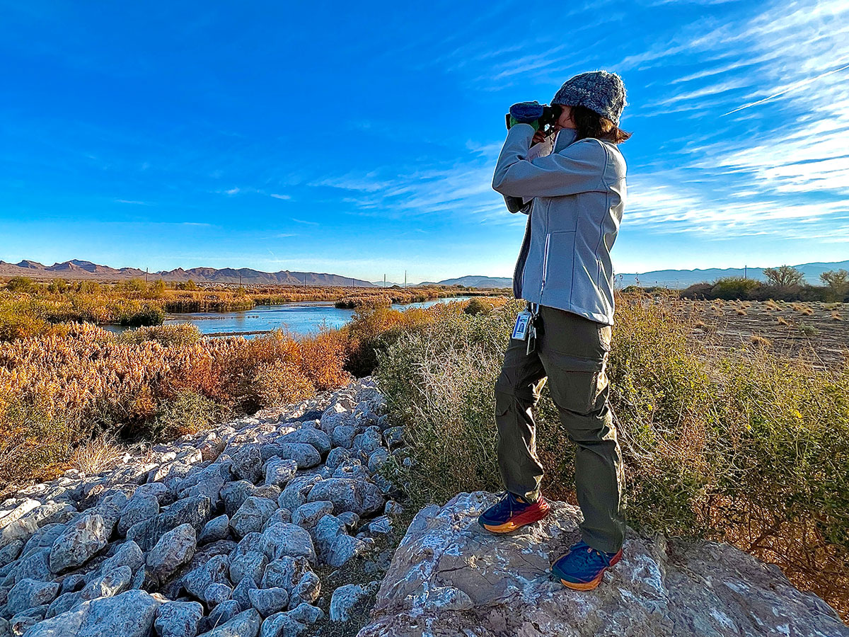 Las Vegas Wash biologist uses binoculars to look for birds at the Las Vegas Wash.