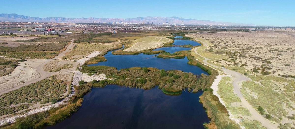 Aerial view of duck creek