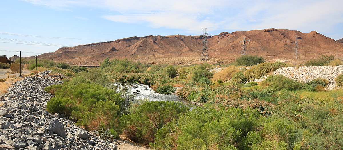 Fire Station Weir