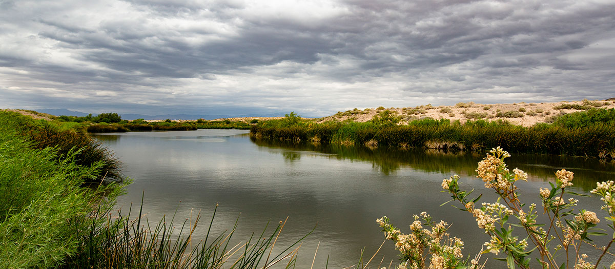 Homestead Weir